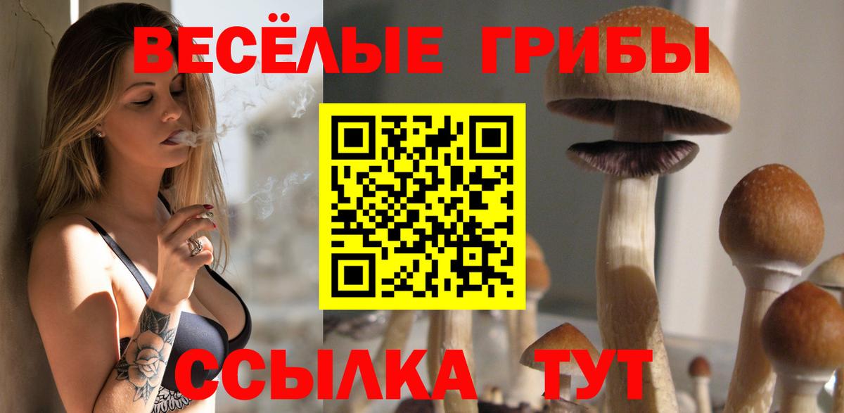 Псилоцибиновые грибы Magic Shrooms Чебаркуль